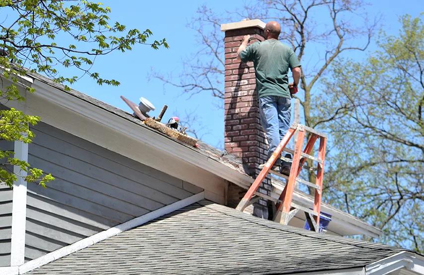 Chimney & Fireplace Inspections Services in Franklin Farm, VA
